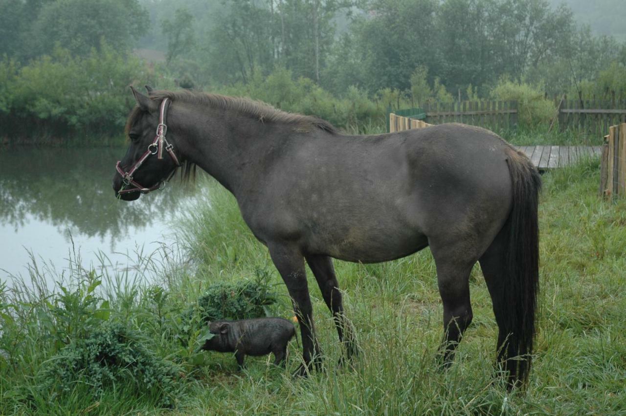 Wodne Ogrody Dobczyce Exterior photo